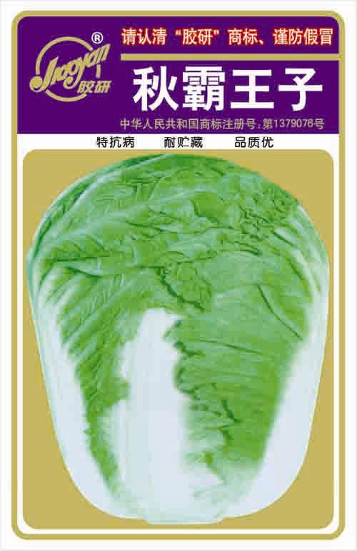 秋霸王子——秋播白菜